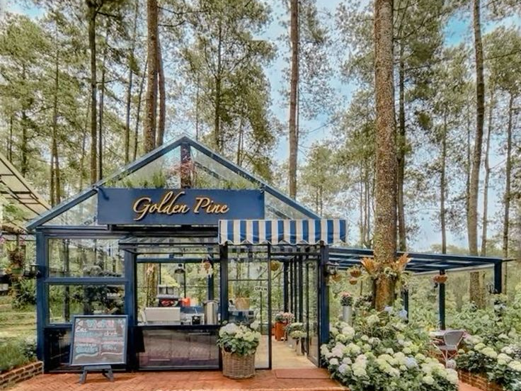 Inspirasi Desain Cafe dengan Tema  Ramah Lingkungan
